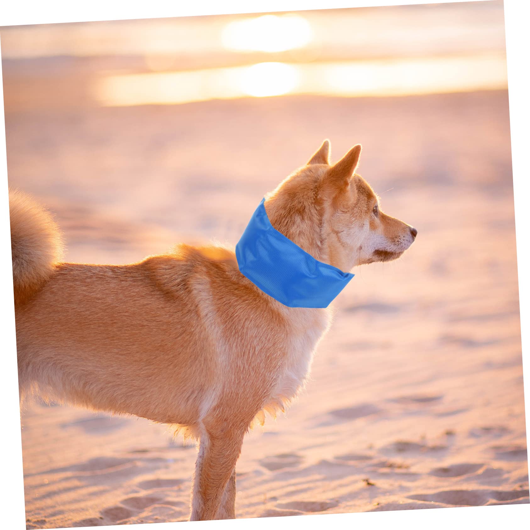 ABOOFAN 5 Pièces Bandana De Refroidissement pour Chien Écharpes Écharpe Rafraîchissante pour Chiot Bandana pour Animaux De Compagnie Écharpe D'été pour Chien Collier L'été Matériel PVA
