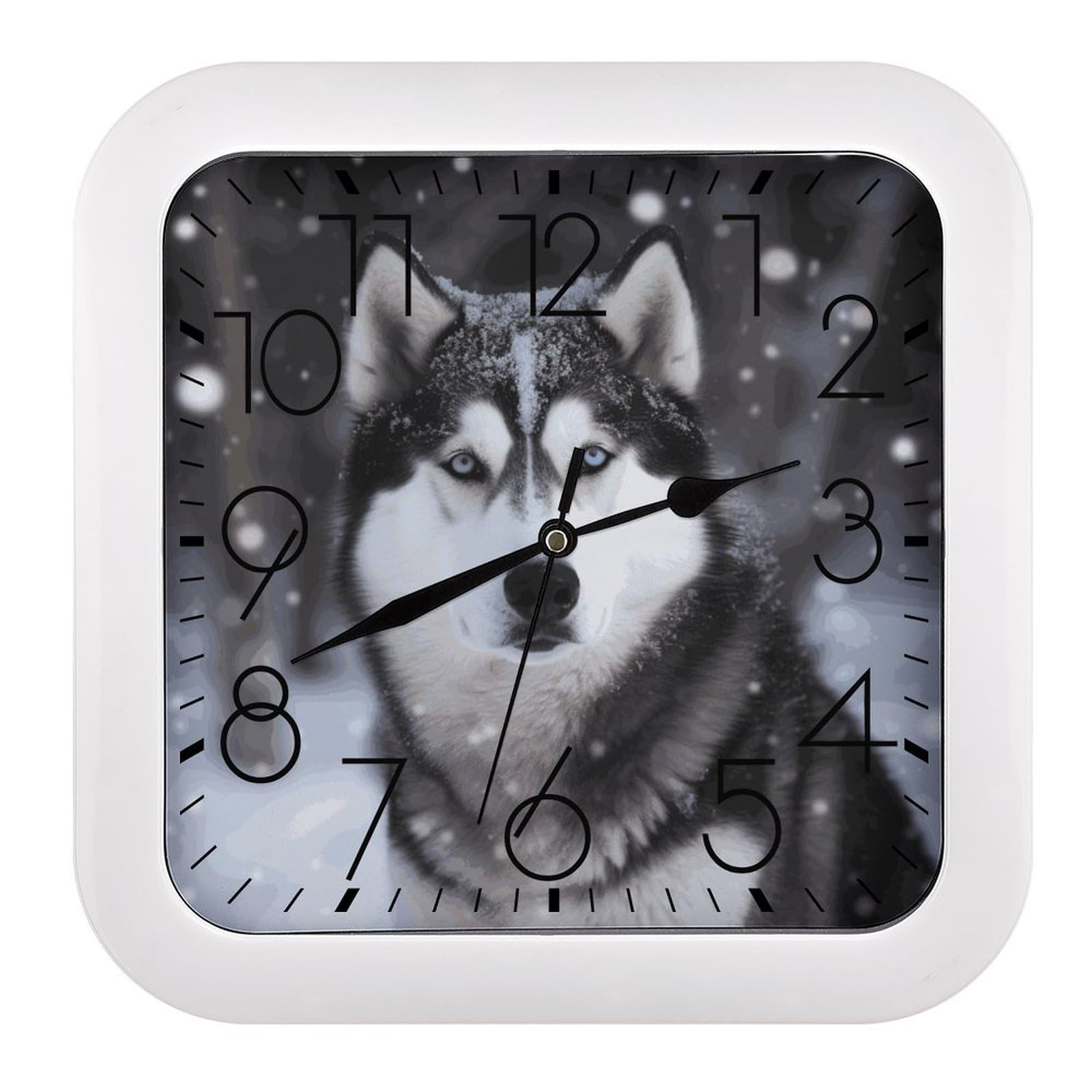 JTREHY Husky in Snow Dog Wall Clock The Sound is Soft Square Timepiece Fashion Precise Easy to Read Numbers | Perfect Living Room Kitchen Or Office Clocks
