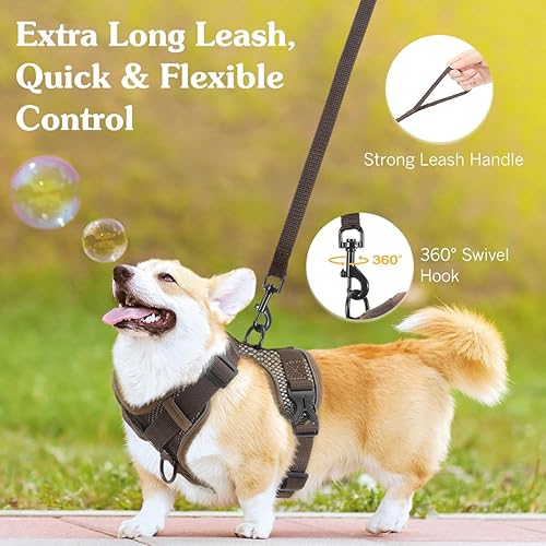 Miniatura 6 de VavoPaw Juego de arnés y correa para caminar, arnés ajustable con tira reflectante de malla transpirable, chaleco de seguridad suave a prueba de