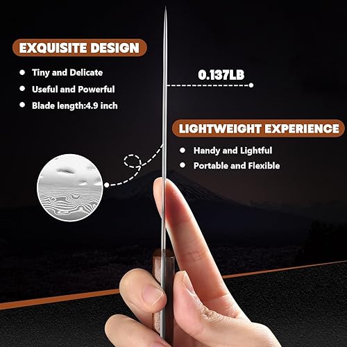 Vista 5 de Huusk Juego de 4 cuchillos para carne, cuchillos de cocina japoneses de acero de 4.9 pulgadas con mango de madera, cuchillo de carne sin dentar