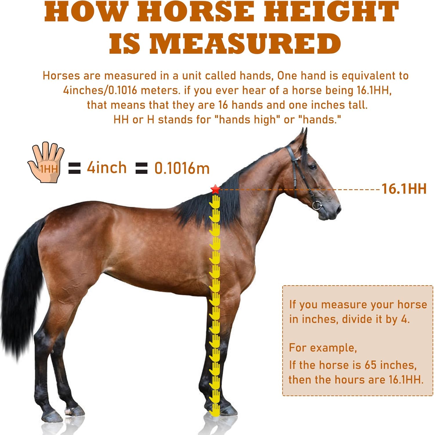 Horse Measuring Stick, Horse Height Pole, Accurately Measure The Height of Horse, Measurable (18 Hands or Less) Horses