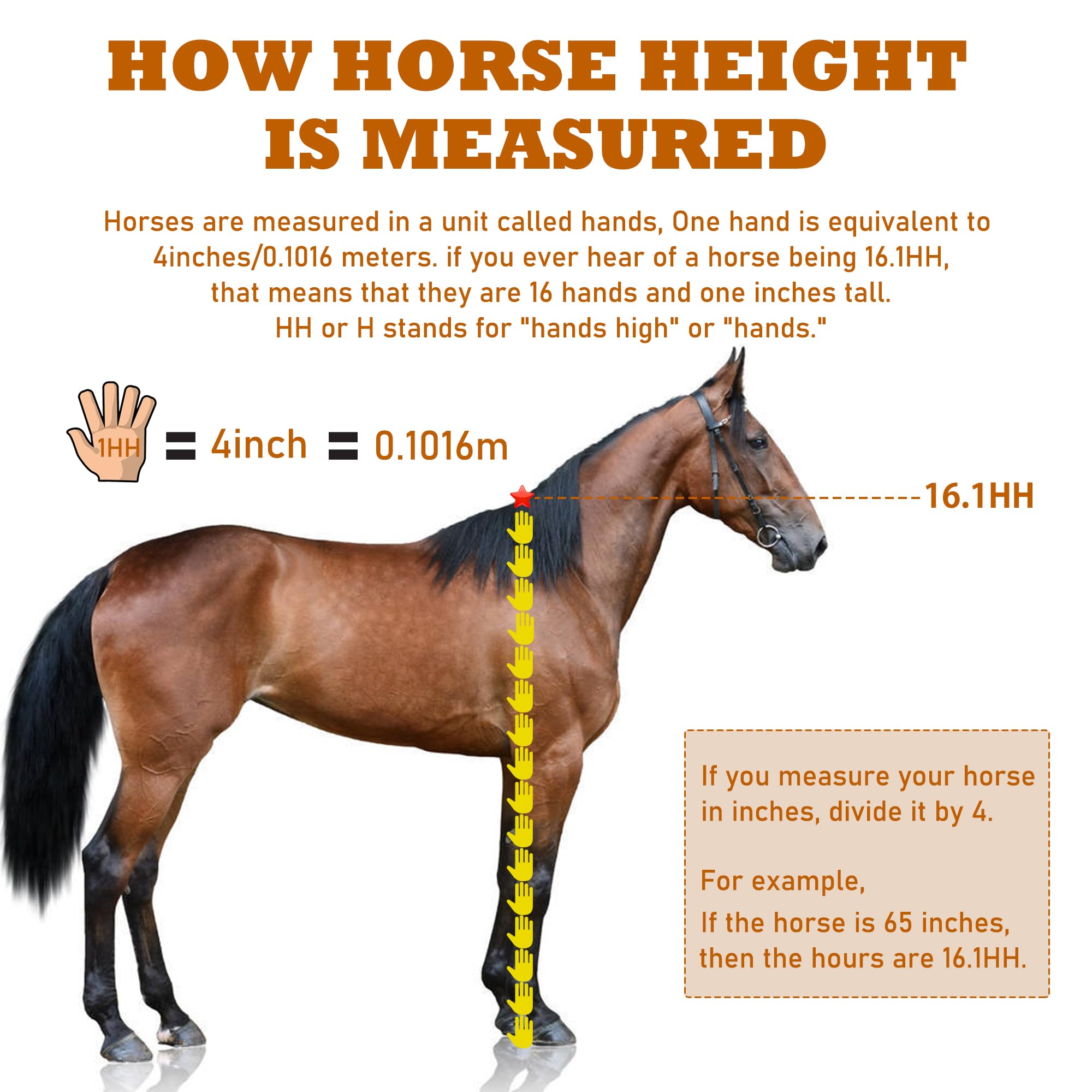 KUNBEIEN Horse Measuring Stick, Horse Height Pole, Accurately Measure The Height of Horse, Measurable (18 Hands or Less) Horses