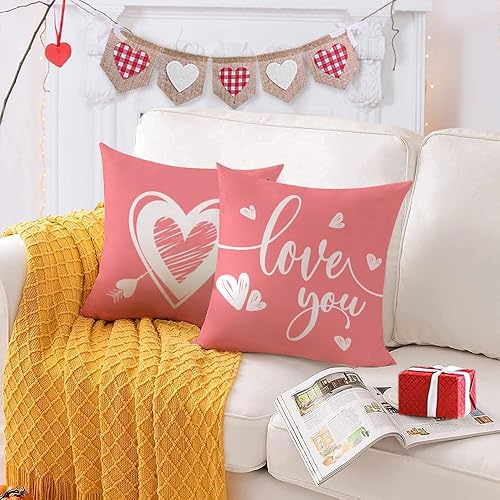 Miniatura 2 de Juego de 4 fundas de almohada para el Día de San Valentín de 24 x 24 pulgadas, fundas de almohada de terciopelo para decoración de sofá al aire