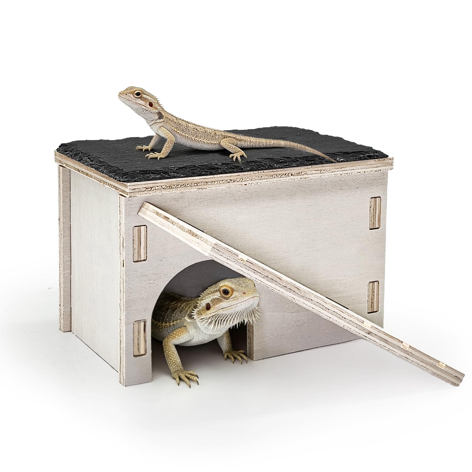 Piattaforma di drago barbuto, pelle di geco in legno con rampa da arrampicata, nascondiglio per rettili in legno, accessori per terrari con roccia crogiolata per draghi barbuti, gechi, lucertole