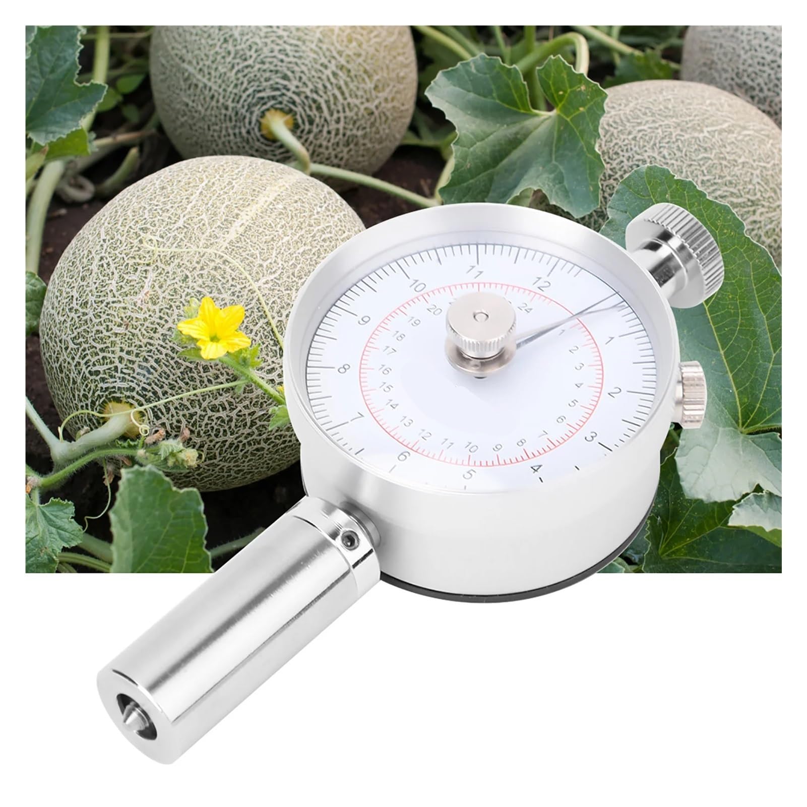 Härteprüfgerät, Fruchthärtemessgerät, Frucht-Penetrometer, tragbares Fruchthärteprüfgerät, Penetrometer, Sklerometer mit Doppelzeiger