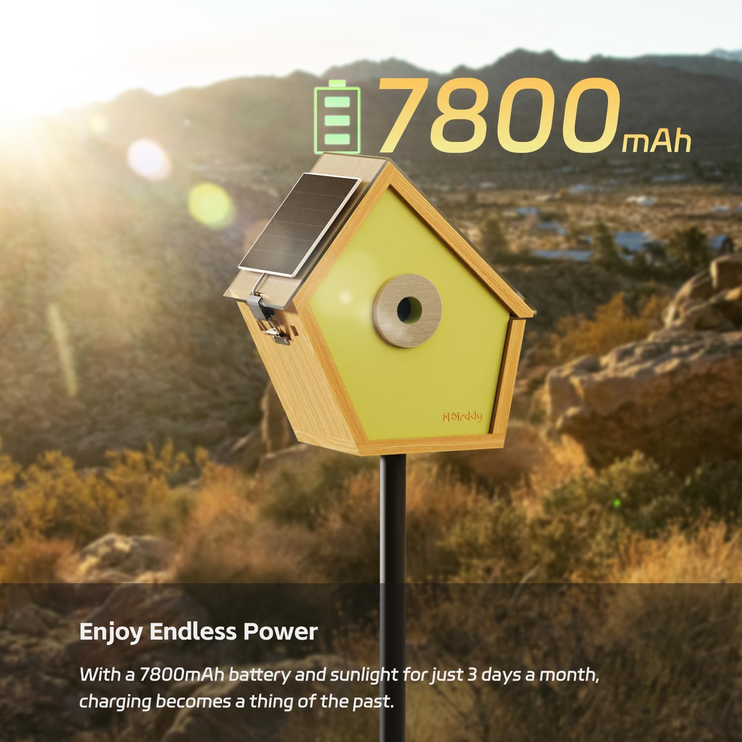 RELI Birddy Original Smart Birdhouse with Camera, Solar Powered Cam Bird Nest with AI Recognition, Time-Lapse Photography, WiFi Outdoor Nesting Box for Birds, Ideal Gift for Bird Lover Watching Birds