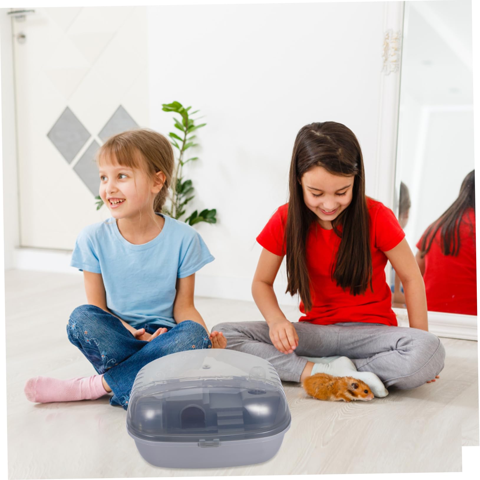 Hamster Transportbox für Drinnen, Kleiner Käfig aus Abs, Box