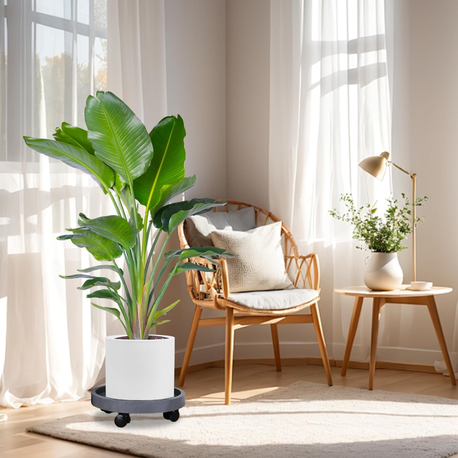 Plant Caddy with Wheels, Plastic Plant Stand Outdoor Strong Load Capacity Pot Roller for Flower Pots, Grey