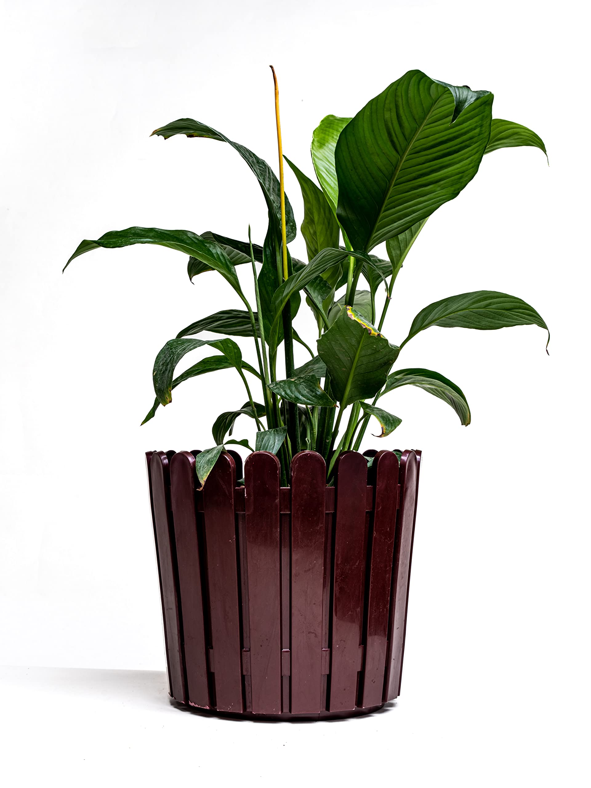 Nested Greens - Fence Pot 11” Inch | Indoor Plant Container | 11 inch Outdoor Planter | Flower Plant Pot for Garden Balcony Terrace (Plant Not Included) (Brown)