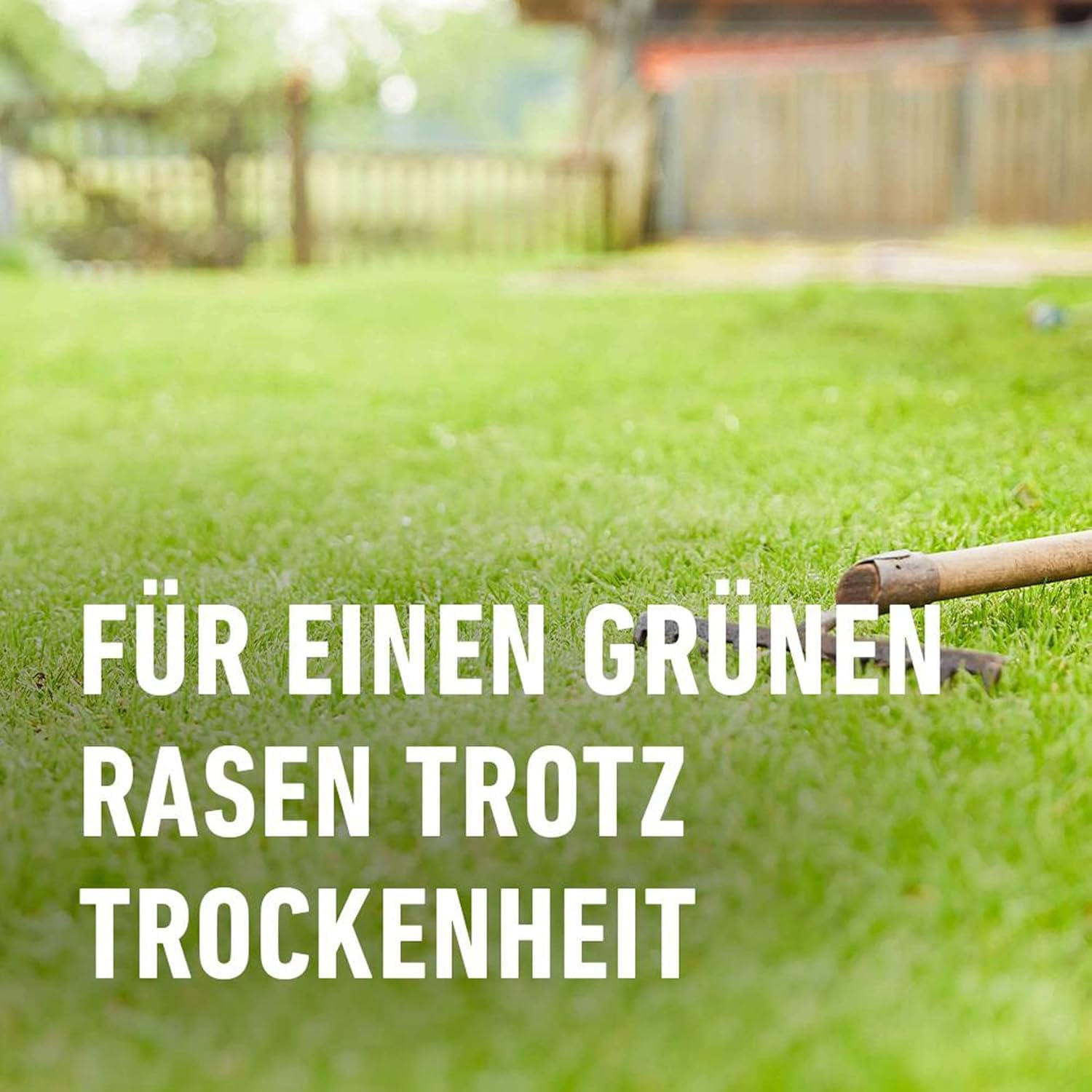 COMPO SAAT Trocken-Rasen, Hitze- und trockenverträgliche Rasensamen/Grassamen für trockene und sonnige Standorte, 2 kg, 80 m²