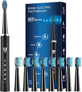 Sonic Electric Toothbrushes for Adults - Bushgor Rechargeable Ultrasonic Toothbrush with Heads, Electric Ultrasonic Tooth Brush,Ultra Toothbrush (Classic Black)