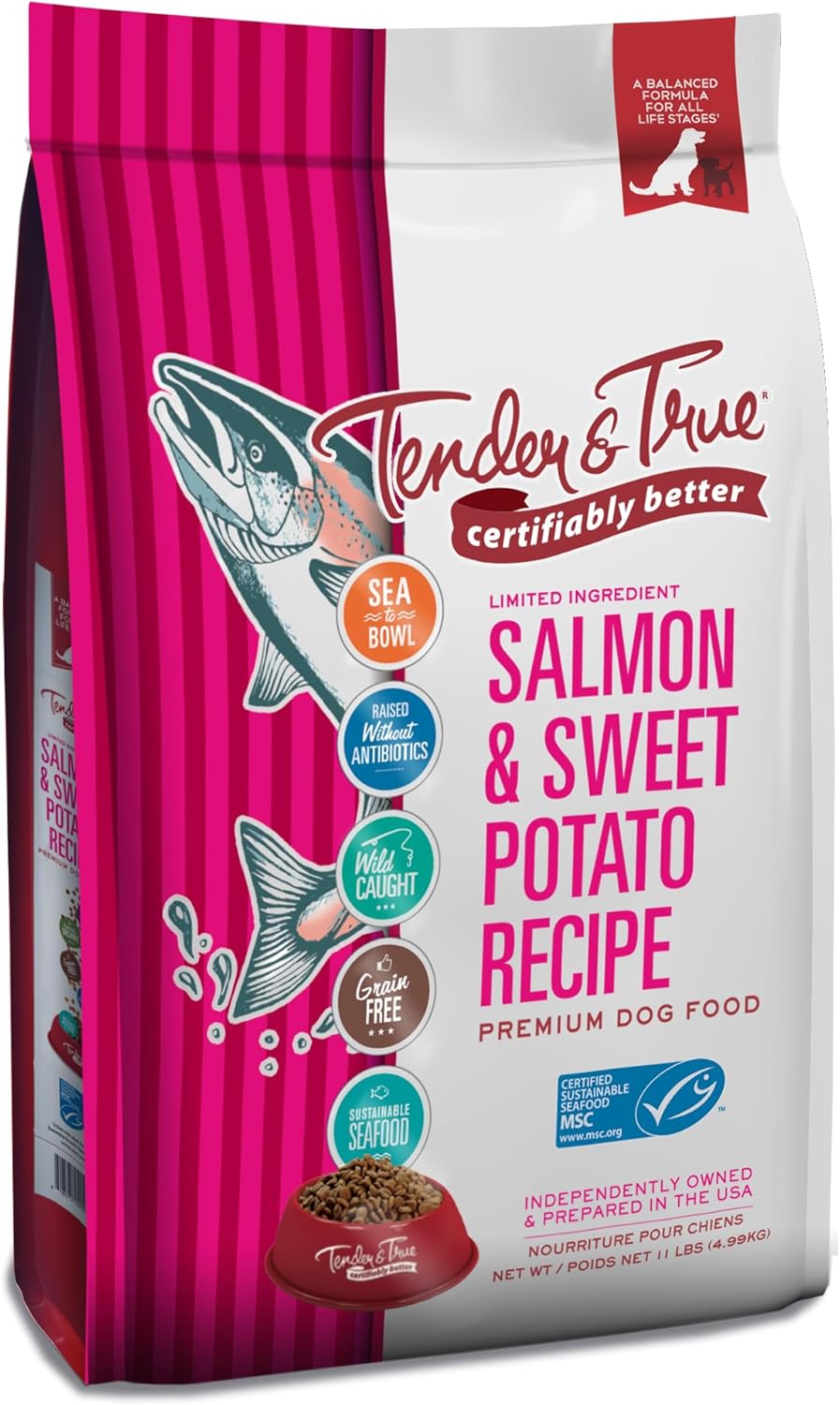 Tender & True Salmon & Sweet Potato Recipe Dry Dog Food
