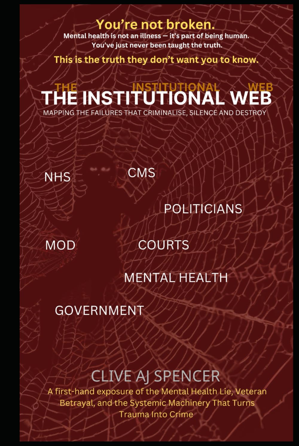The Institutional Web: Mapping the failures that criminalise, silence and destroy