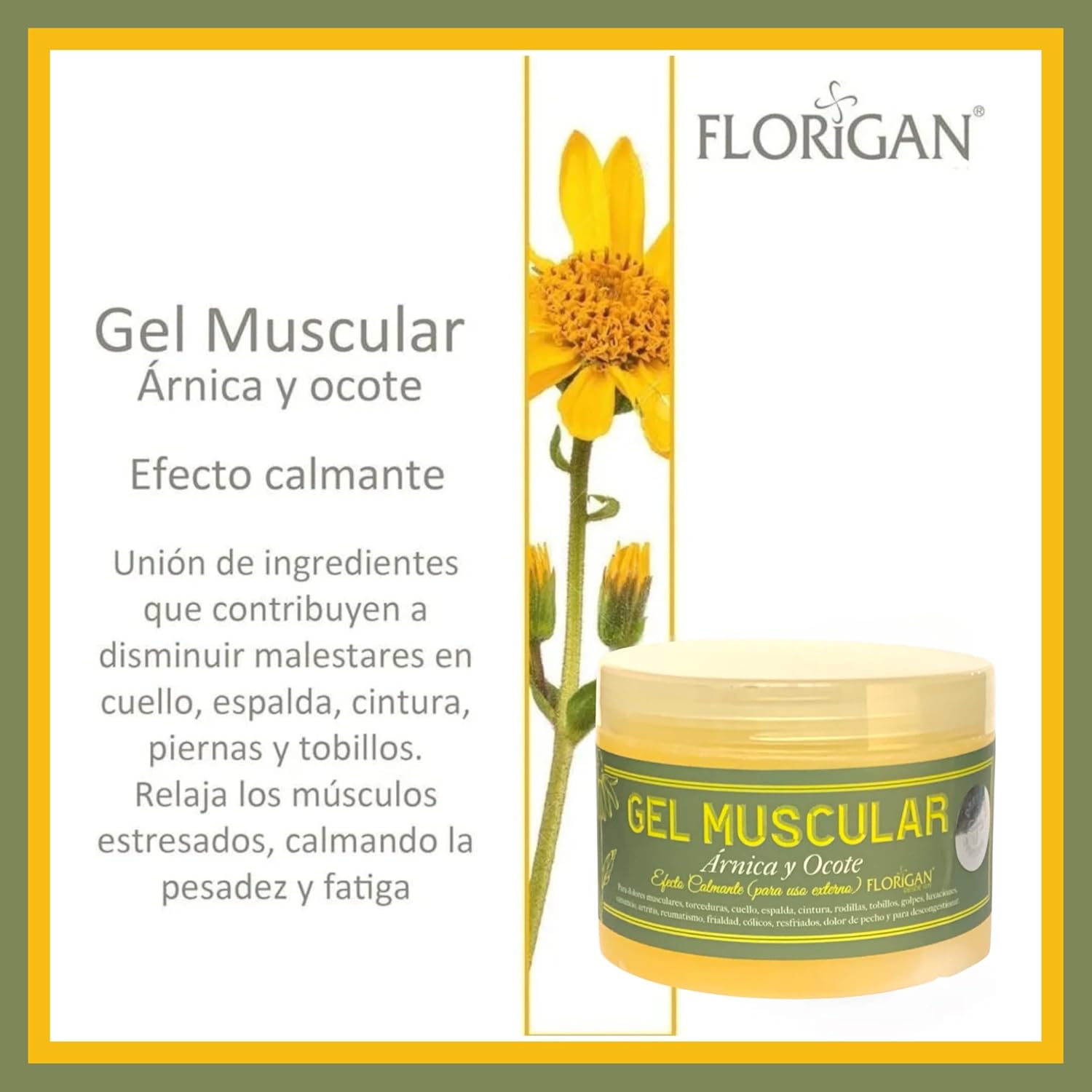 Arnica and Ocote Muscle Gel 350grs.