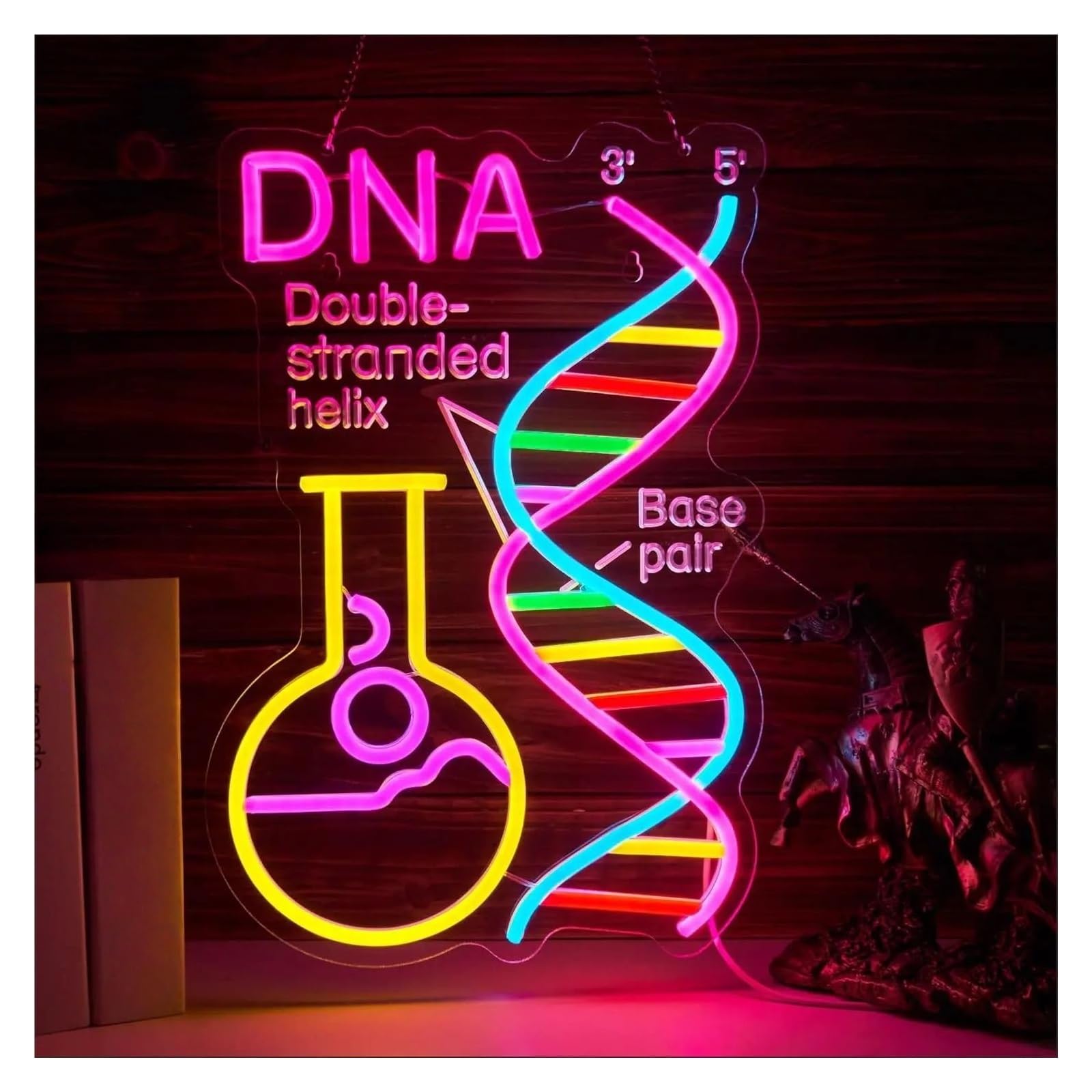 XENITE Luci al Neon Da Parete DNA Double Stranded Helix Insegna Al Neon Luce LED Dimmerabile Per Club Del Libro Aula Lettura Angolo Sala Giochi Arredamento Camera Da Letto 42cmx28cm