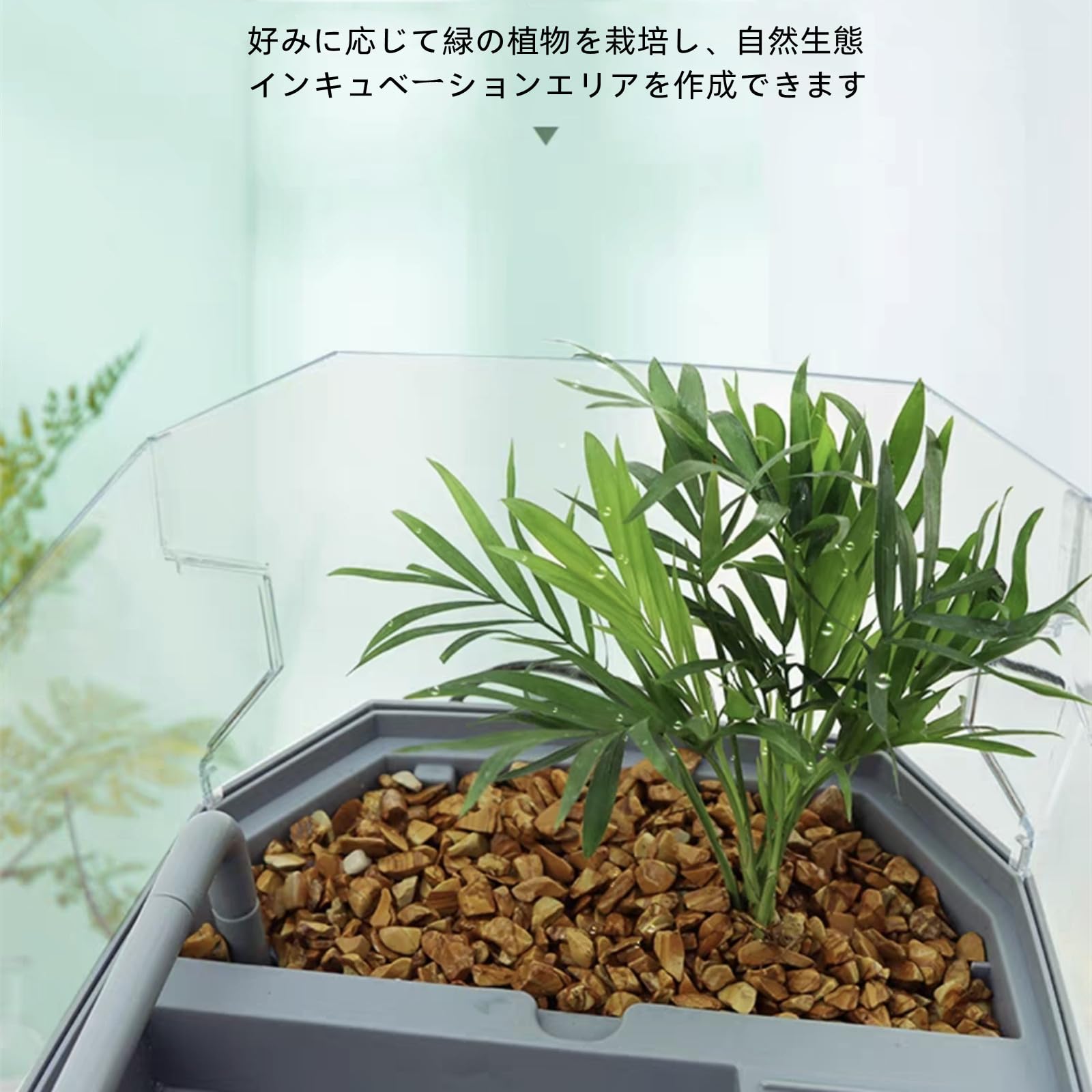 Amazon | カメ用水槽 亀の水槽 亀飼育ケース 亀飼育用水槽 大型