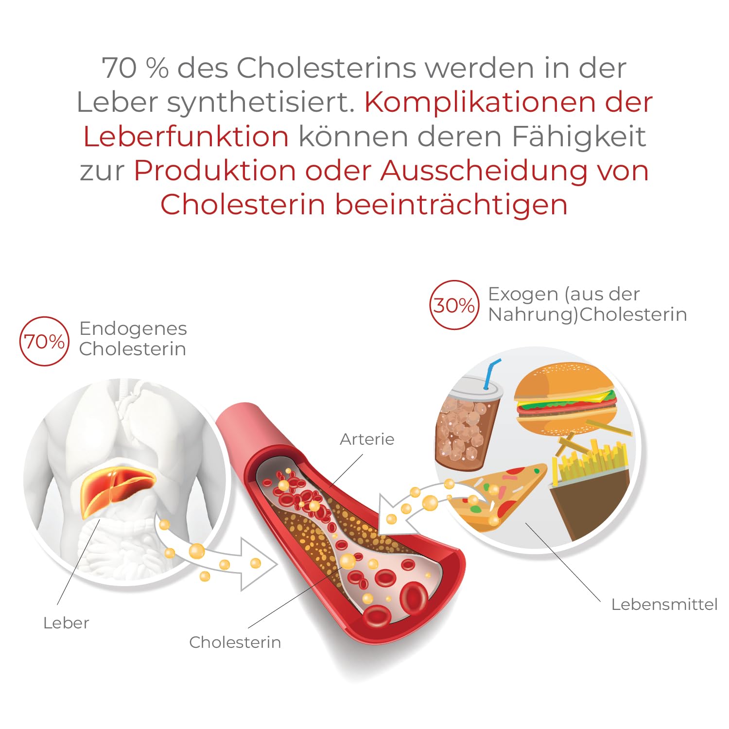 Aterolip Complex Caps Roter Reis Kapseln Cholesterin - 150 Cholesterin Senken Kapseln - Mit Cholin, Monacolin K, Olivenblatt Trockenextrakt, Niacin, Kurkuma, Policosanol und Vitamin B12