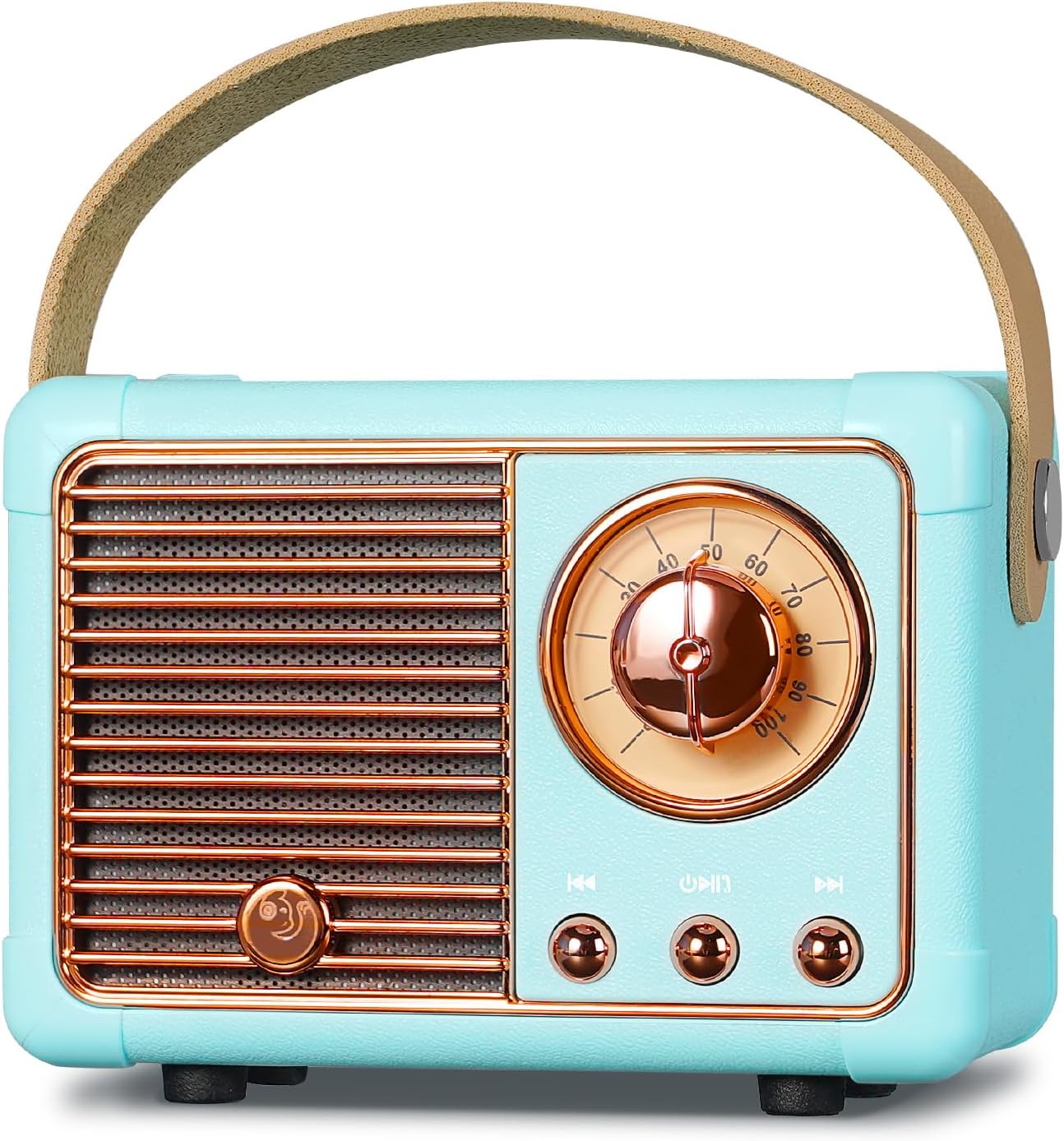 PRUNUS Mini Karaoke Machine for Kids&Adults, PRUNUS J-999 Retro Bluetooth Speaker,Vintage Decor