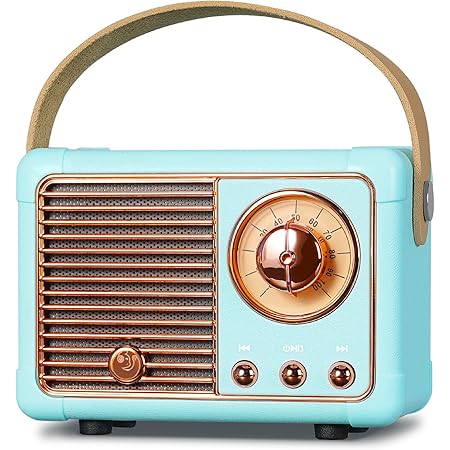 PRUNUS Caricatore USB da 5 V 1 A per radio, adatto