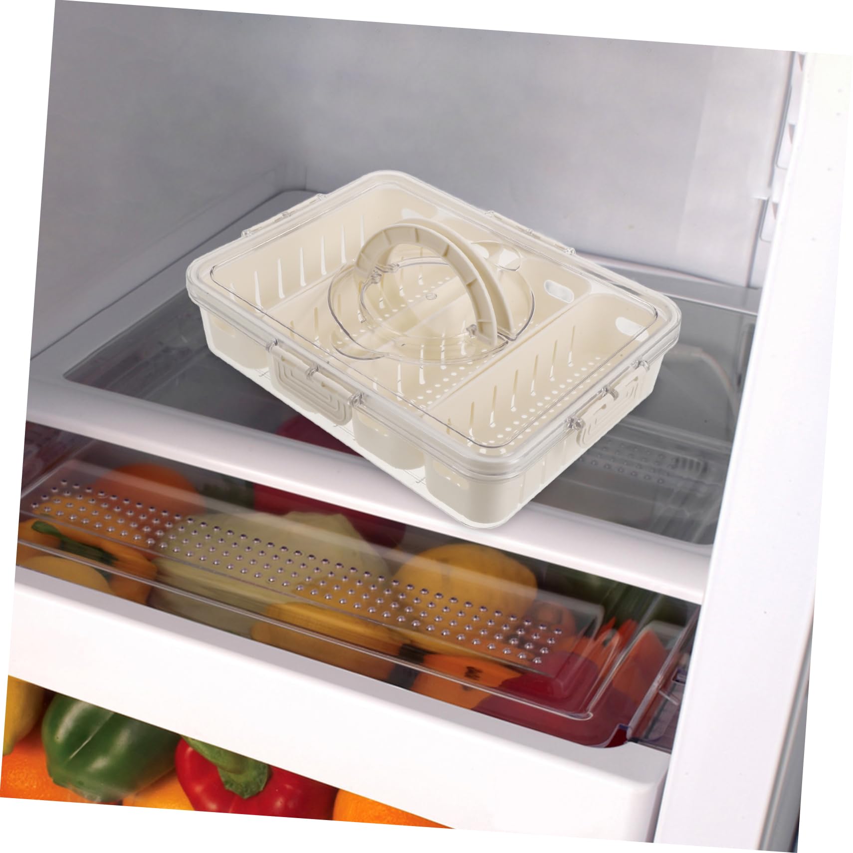 Transparenter Kühlschrankorganizer mit Fächern aus Reusable Pet | Deckel und Griff, Luftdicht Verschließbar, Getrennte Lagerung für Gewürze und Früchte