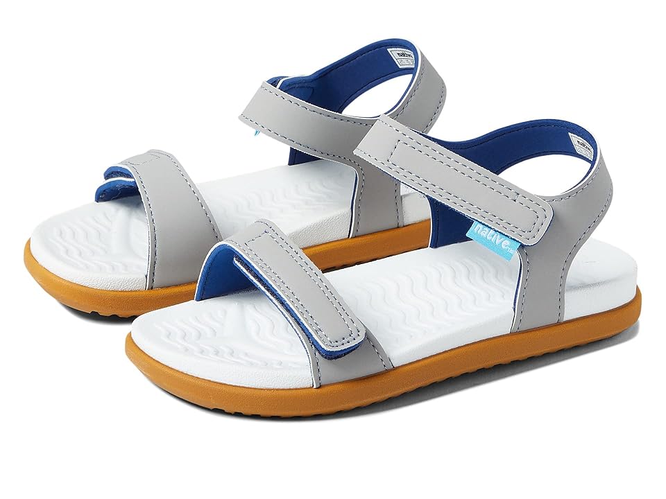 Native Shoes Kids Charley (Little Kid) (Pigeon Grey/Shell White/Toffee Brown) Kids Shoes INTERNATIONAL SHIPPING