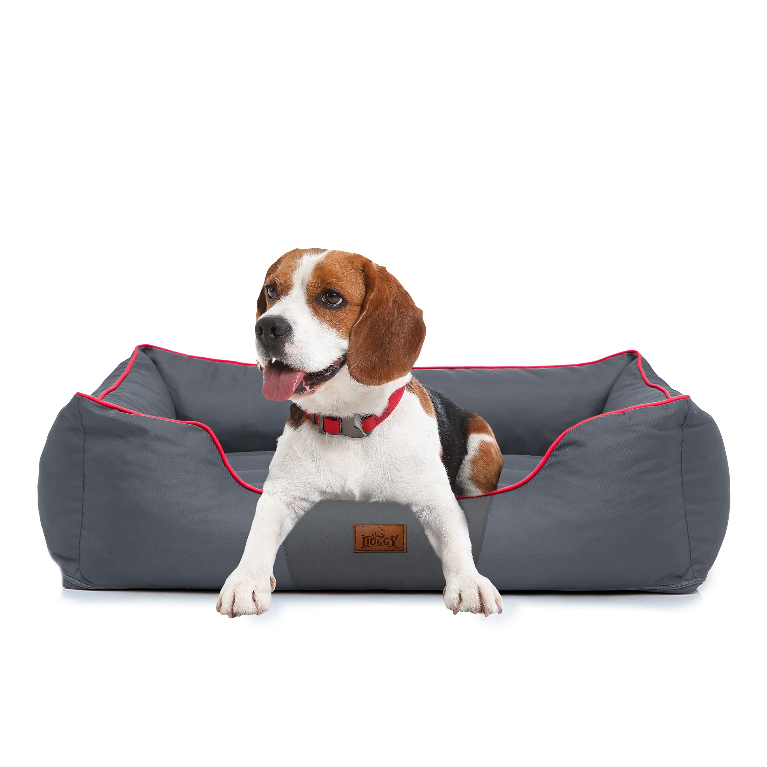 Cuccia per animali domestici, cuscino per cani, lettino, cuscino per cani, letto per animali, XL, 65 x 50 cm, grigio con bordo rosso