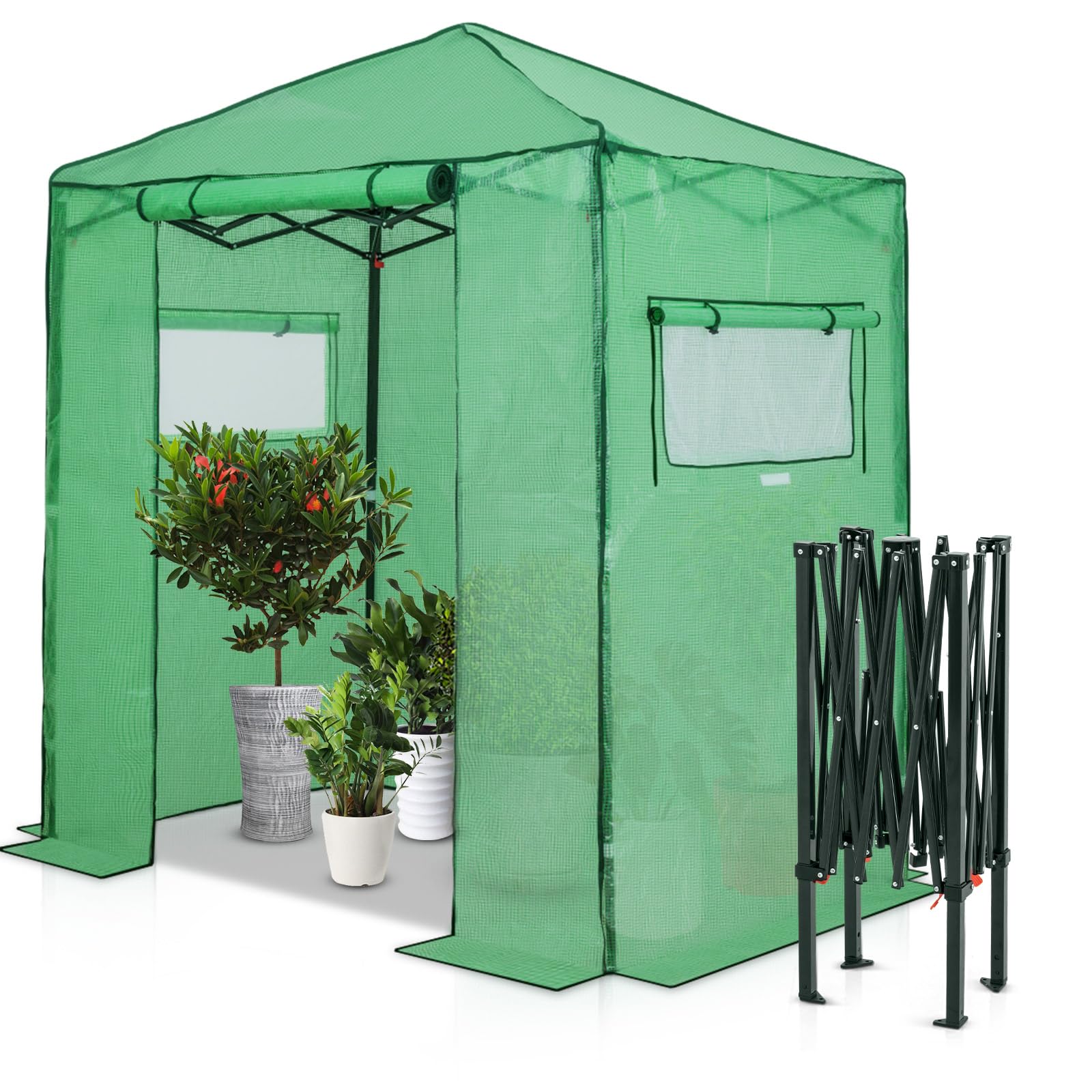 EAGLE PEAK 6'x4' Portable Walk-in Greenhouse Instant Pop-up Fast Setup Indoor Outdoor Plant Gardening Green House Canopy, Front Roll-Up Zipper Entry Doors and Roll-Up Side Windows