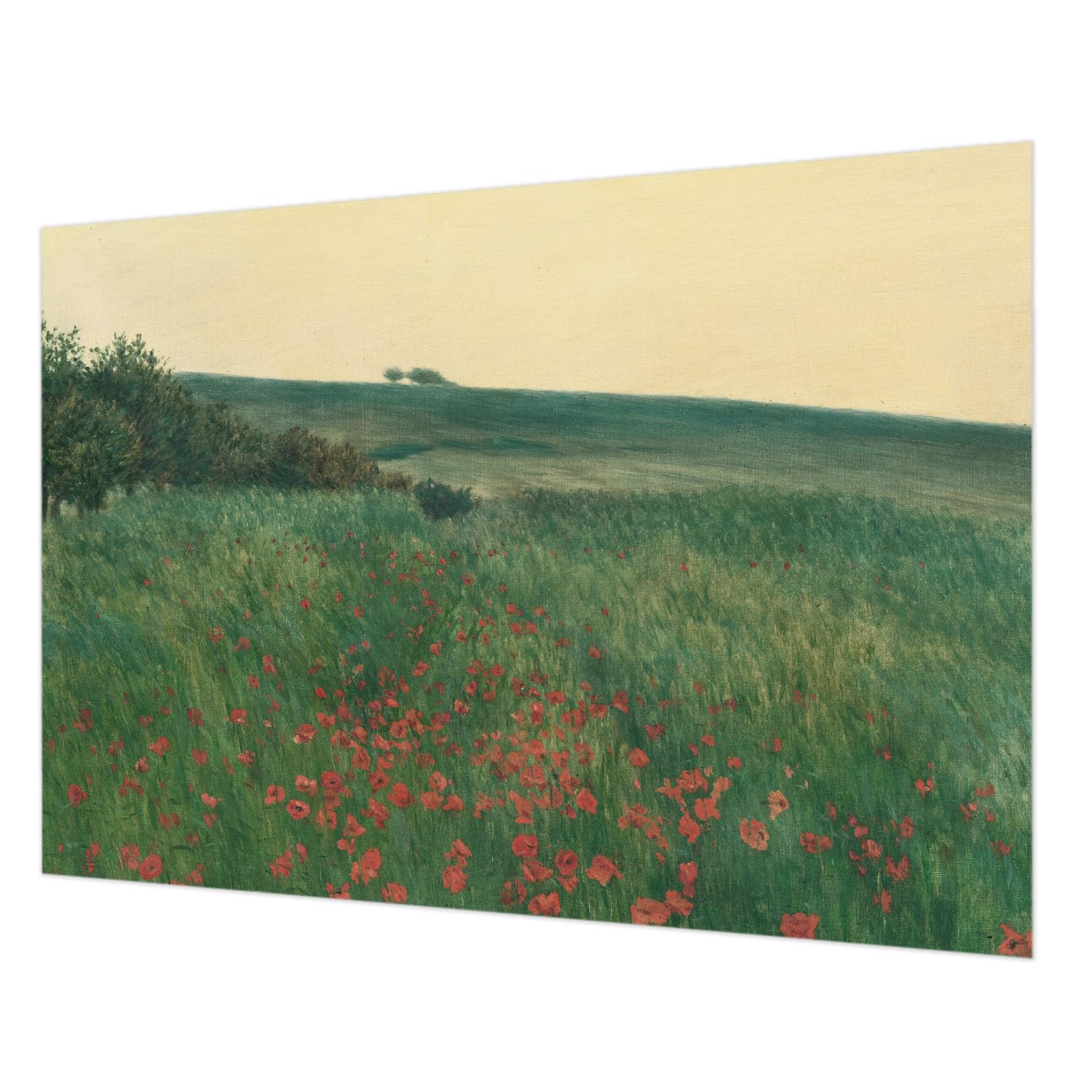 Impression de haute qualité pour ce revêtement mural intissé Tulup