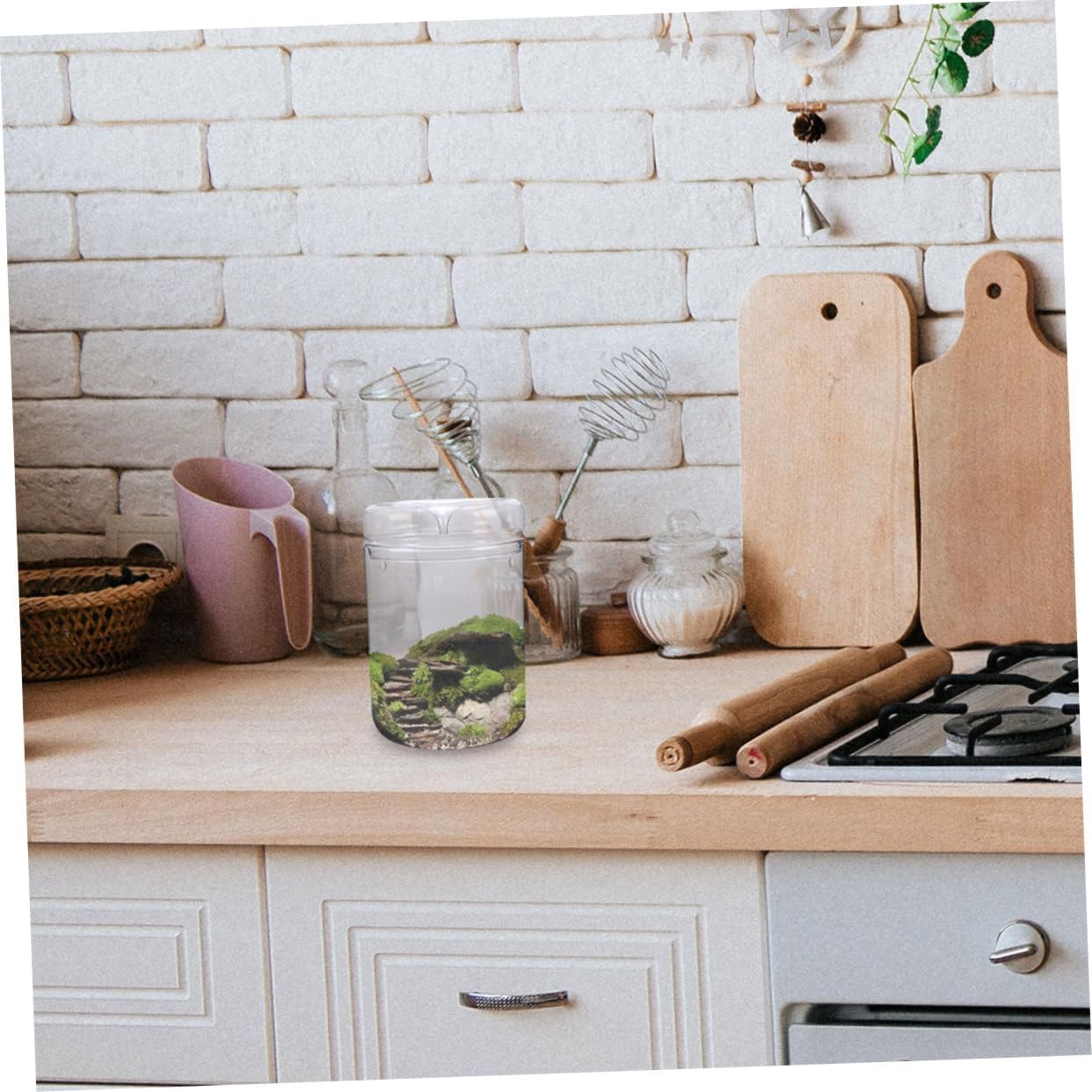 Bottle Landscape Terrarium for Home Decor Moss Plant Display for Indoor and Outdoor Use Creative Desktop Decoration