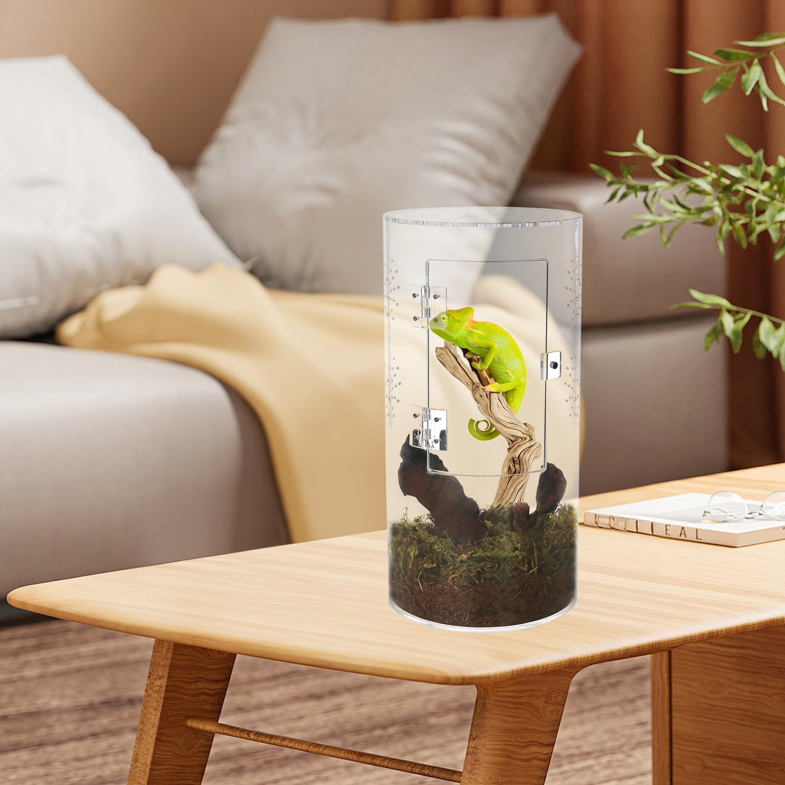 Terrariums pour Reptiles, Mini-Terrarium Cylindrique Vivarium en Acrylique étanche avec Porte Avant pour Petits Grenouilles Araignées Sauteuses Mantes Religieuses Geckos Et Escargots