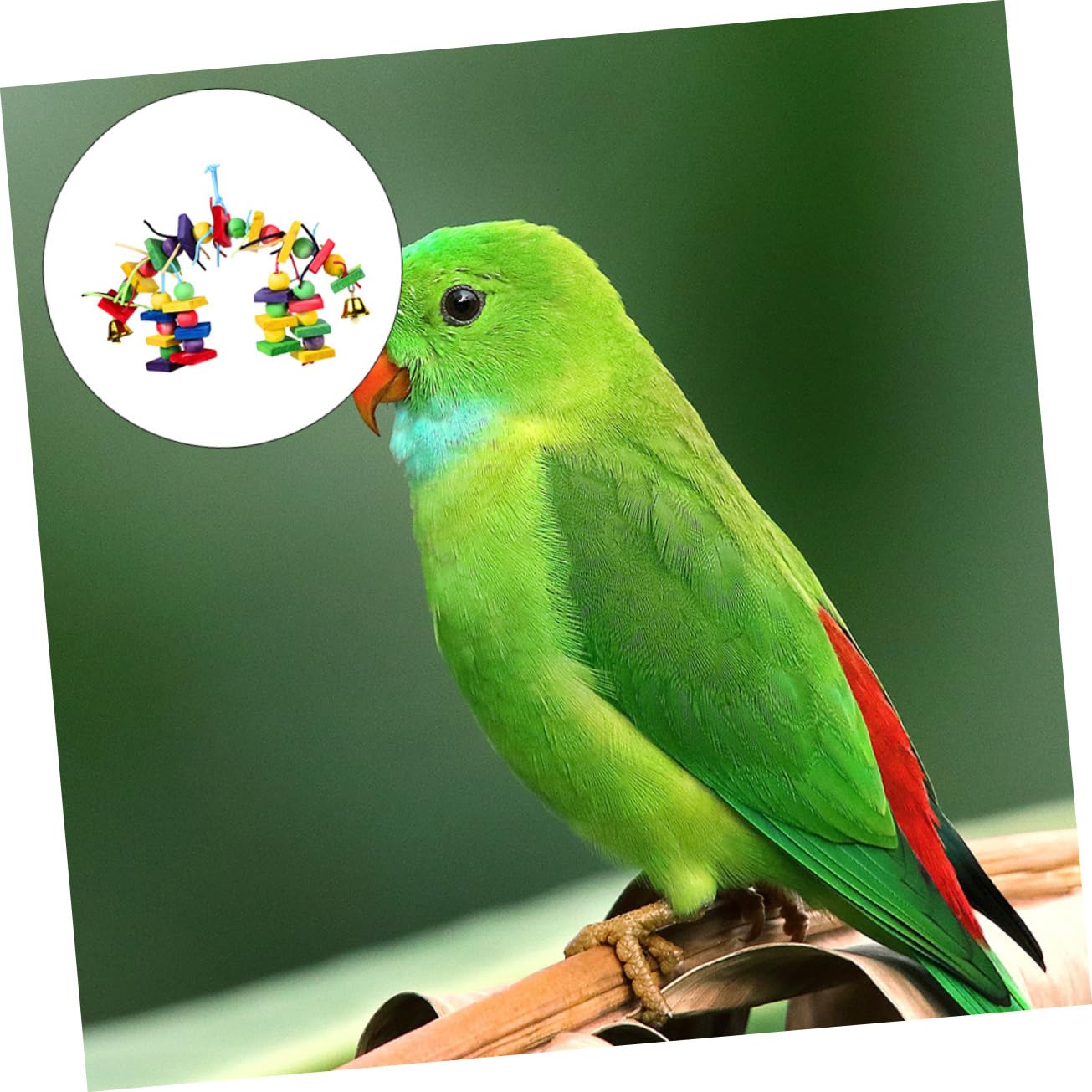 BESPORTBLE 3pezzi Giocattolo Per Pappagallo Legno Colorato Giocattolo Da Masticare Per Uccelli Accessorio Per Gioco Degli Uccelli Divertente e Resistente Per Pappagalli