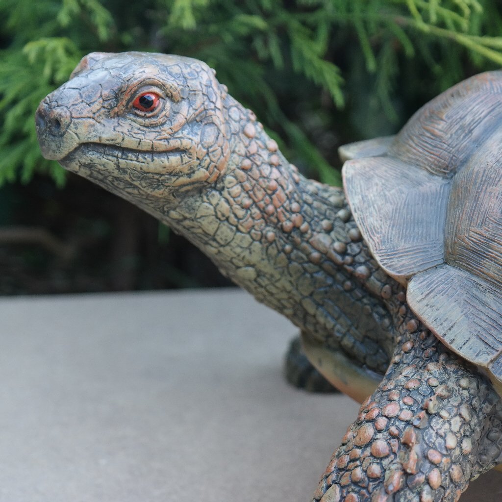 FDSt Dekofigur Schildkröte Tierfigur Gartenfigur wetterfest