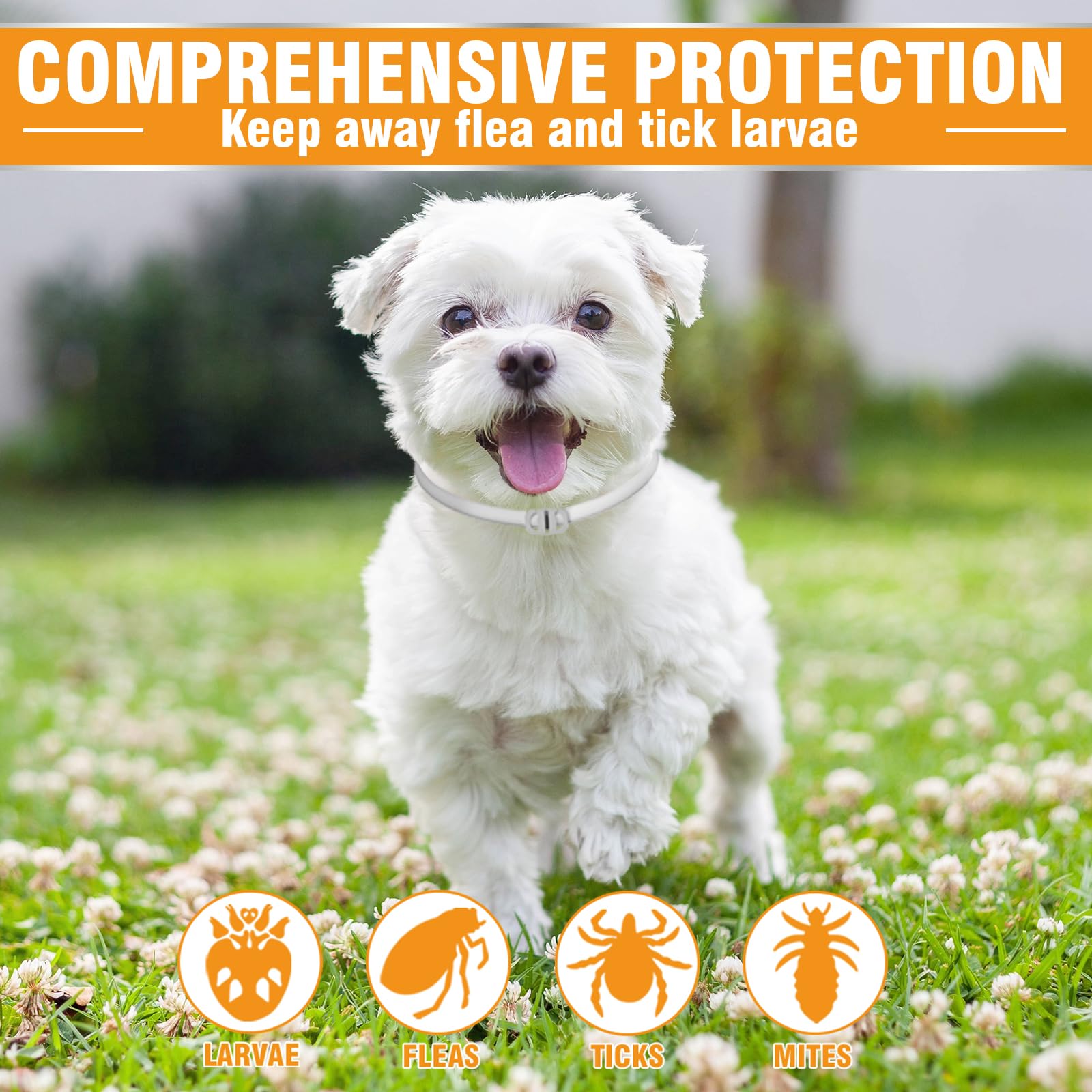 Collare Antiparassitario Per Cani, 12 Mesi Di Protezione Efficace, Collare Antipulci Cane Da 65cm, Regolabile e Impermeabile, Efficace Repellente Per Insetti, Adatto a Cani Di Tutte Le Taglie (1 Pack)