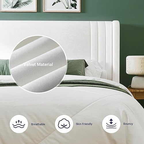 Miniatura 5 de Allewie Base de cama de plataforma de terciopelo tamaño Queen con cabecera acolchada vertical con respaldo alado, fácil montaje, almacenamiento