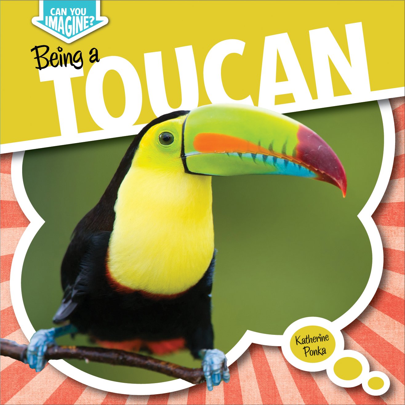 Being a Toucan (Can You Imagine?)