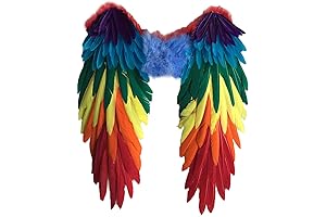 Rainbow Wings: Vibrant Glory for Every Occasion