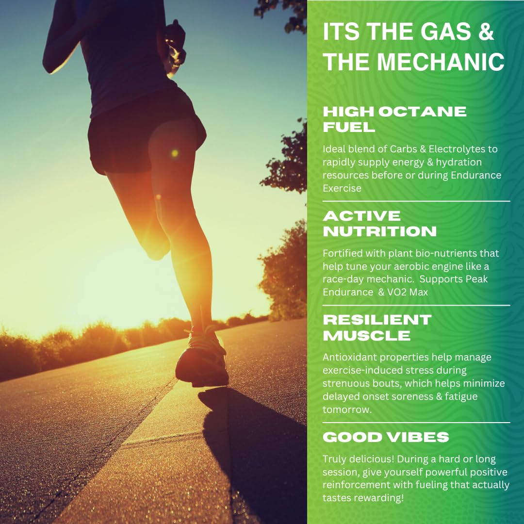 Freak Shake Endurance Fuel & Hydrate Drink Mix - 20 Servings - Carbohydrates, Electrolytes & Antioxidant Bio-nutrients for Endurance Exercise, Performance & Resilience