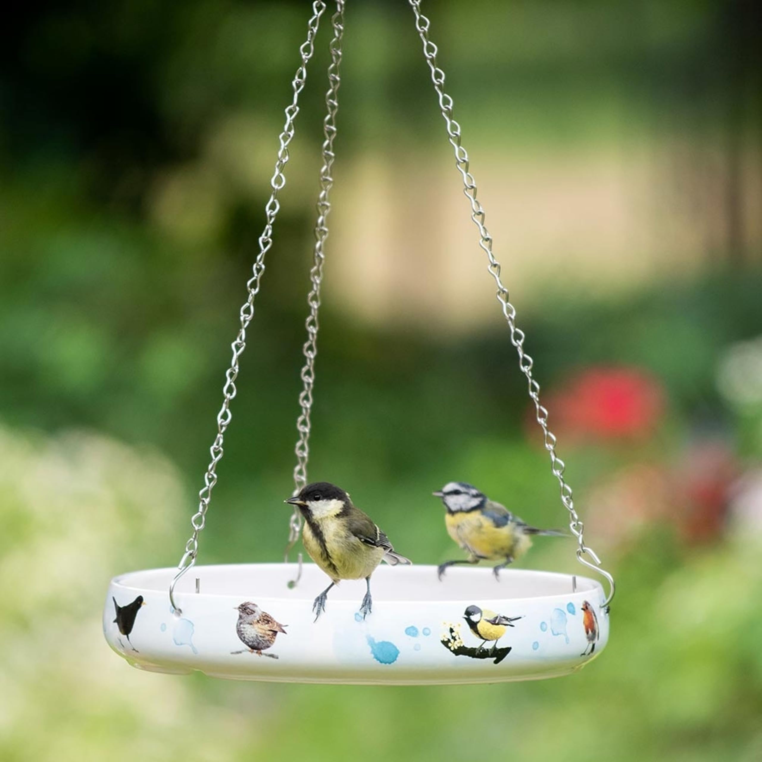 CJ Wildlife Ceramic Bird Bath for Garden – Bird Water Feeder with Hand-Drawn Bird Illustrations – Hanging Porcelain White Bath with Secure Chains – 800ml Capacity