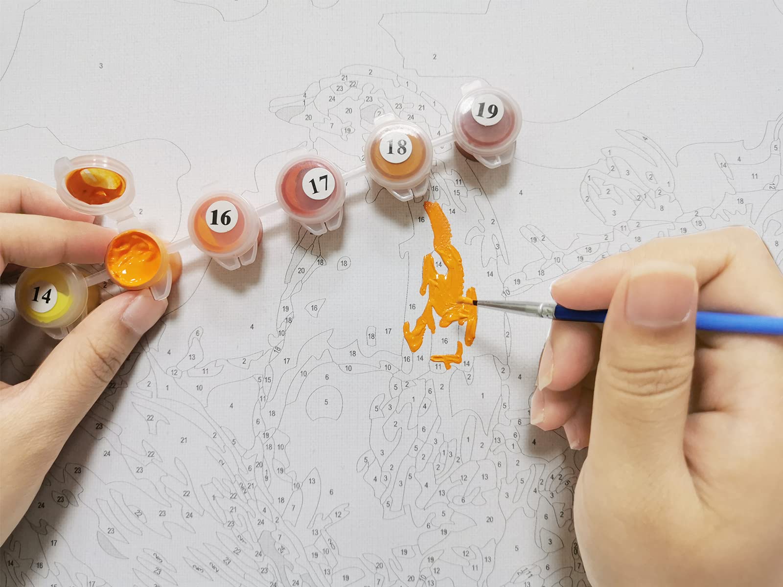 Figured'Art Peinture par Numéro Adulte Oiseaux sur la barrière - Kit de Figured'Art Peinture par Numéro Adulte Oiseaux sur la barrière - Kit de