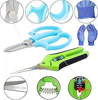 Vista 5 de Tijeras de podar de jardín, tijeras de jardín, tijeras de hierbas, tijeras de floristería, tijeras florales, tijeras de bonsái, podadora de mano