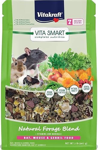 Vitakraft Vita Smart - Alimento para ratones y jerbos para ratas y jerbos con nutrición diaria saludable, semillas de alta calidad, cereales,
