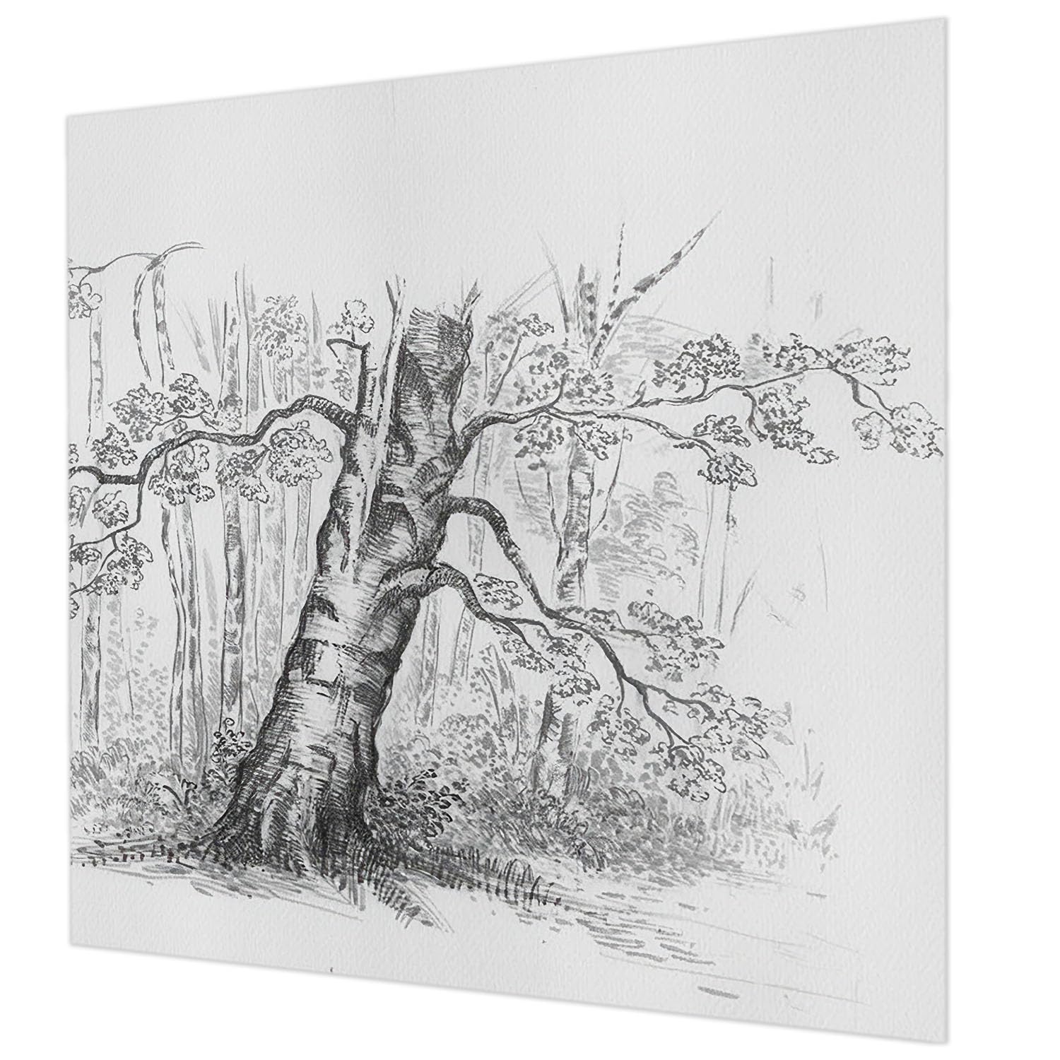 Papier peint salon ambiance forêt 250x250 cm pour créer un mur d'accent de chambre