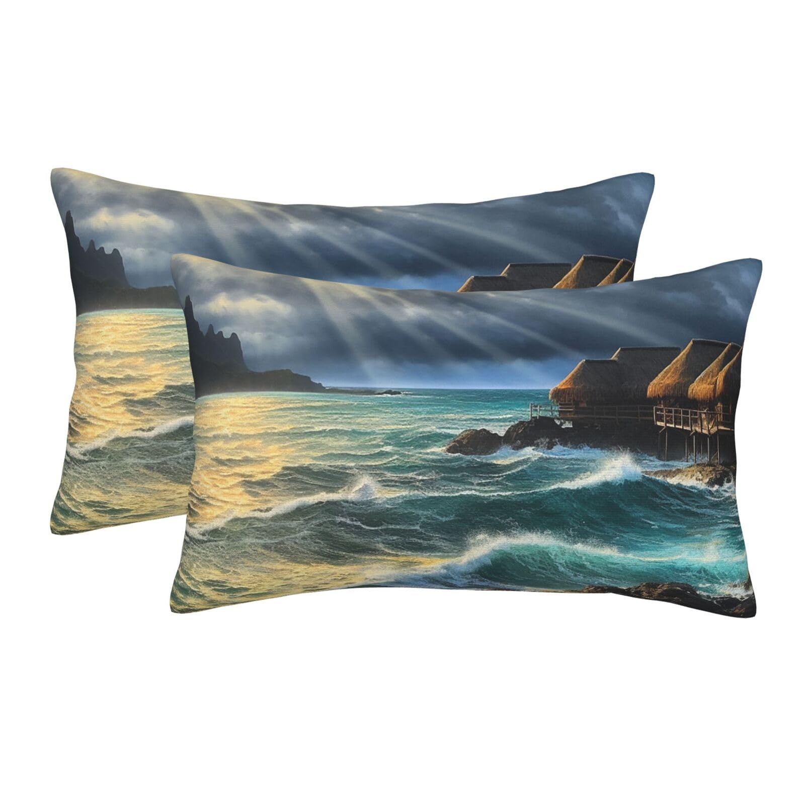 2 Pack Standard Size Pillow Cases for Hair and Skin Soft Breathable Pillow Case Covers with Hidden Zipper Seascape Painting Pillowcase 16"x24" Pillow Cover for Sleeping Gift