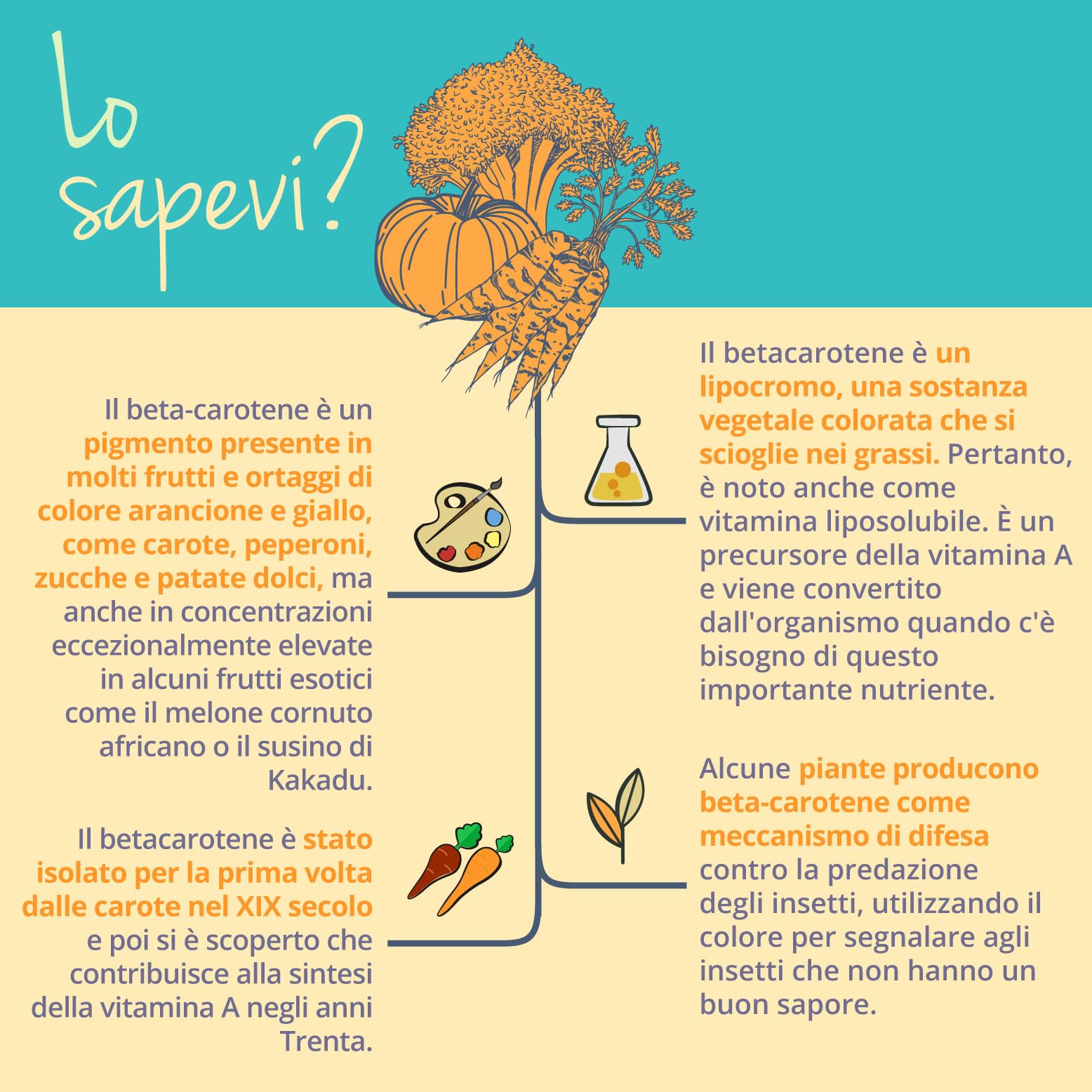 BETACAROTENE PLUS Vegavero® | con Vitamina E + Astaxantina AstaZine® | Lucarotin® B SUN Beta Carotene | Integratore Attivatore Abbronzatura | 120 capsule GreenCaps®