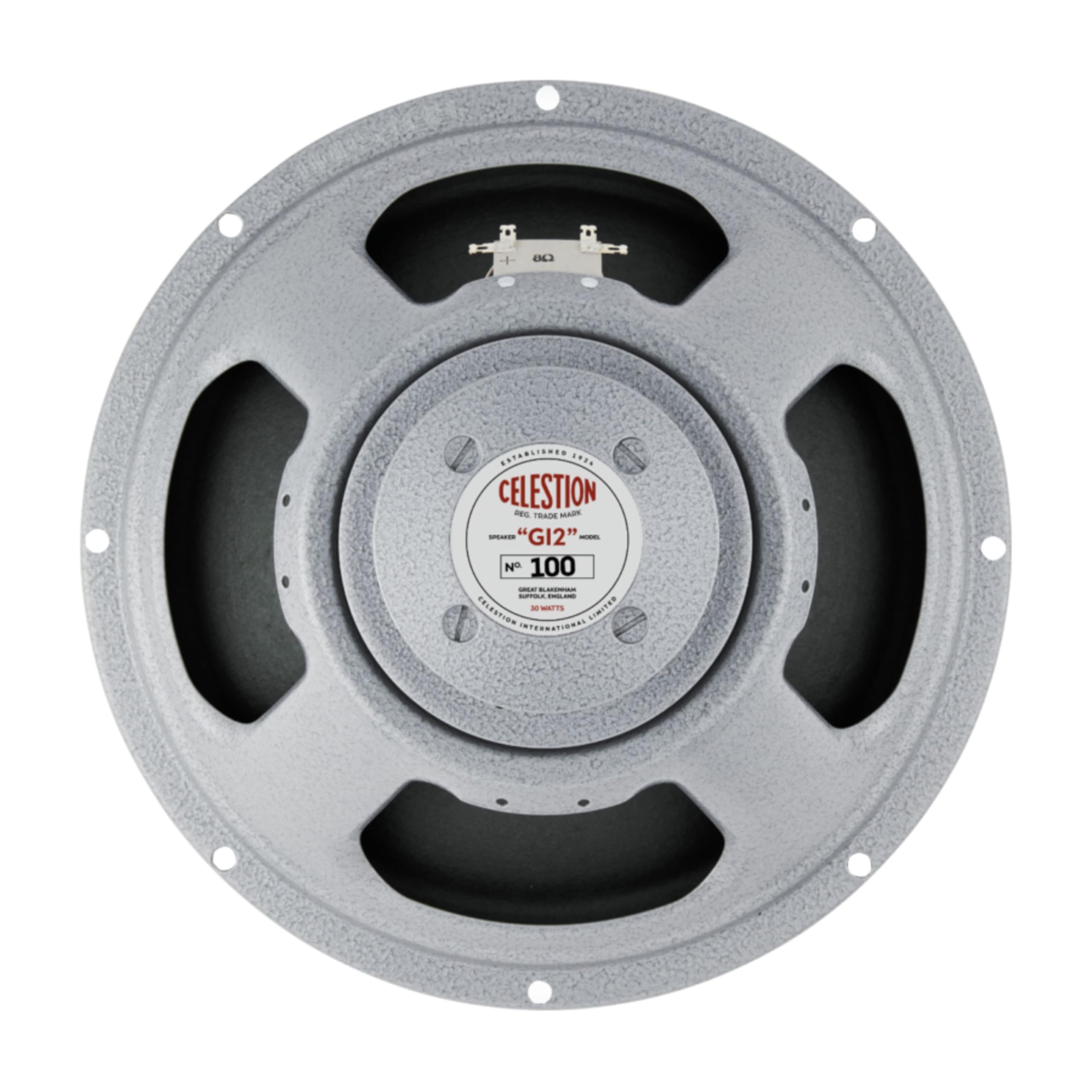 Amazon.com: CELESTION T100 12-inch Guitar Loudspeaker Cone Driver