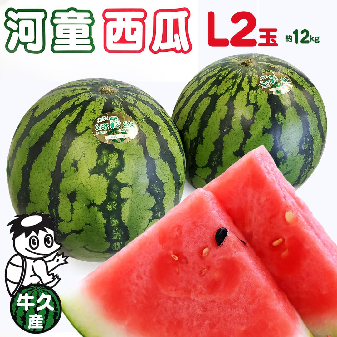 Amazon.co.jp: 《 先行予約 》 牛久市産 河童 西瓜 L 2玉 (約 12kg