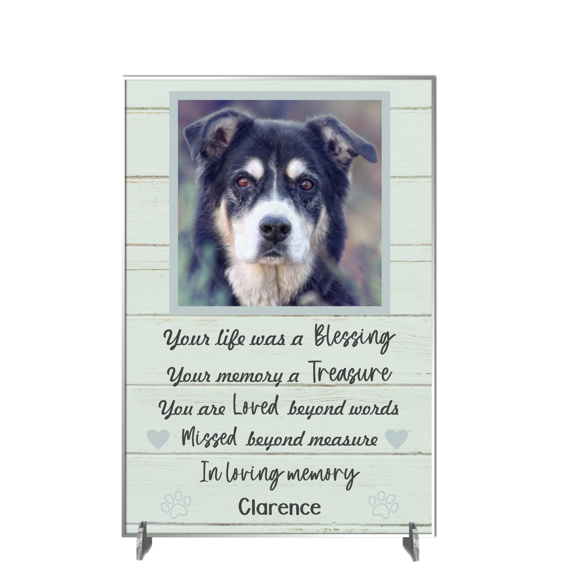 Personalised Pet Bereavement Photo Plaque 'In Loving Memory' - Custom Text, Available in MDF or Acrylic, Size 148mm x 210mm Sign for Your Dog, Cat, Horse, Rabbit, Bird (Acrylic A4 30cm x 21cm, Mint)