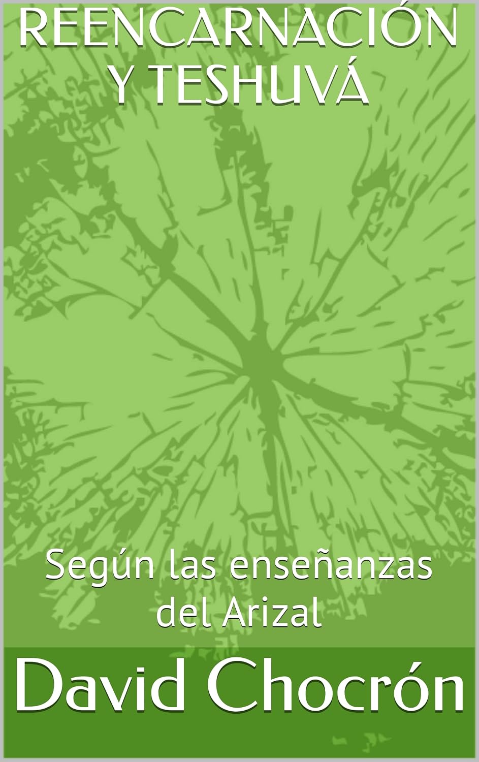 REENCARNACIÓN Y TESHUVÁ: Según las enseñanzas del Arizal (Spanish Edition)