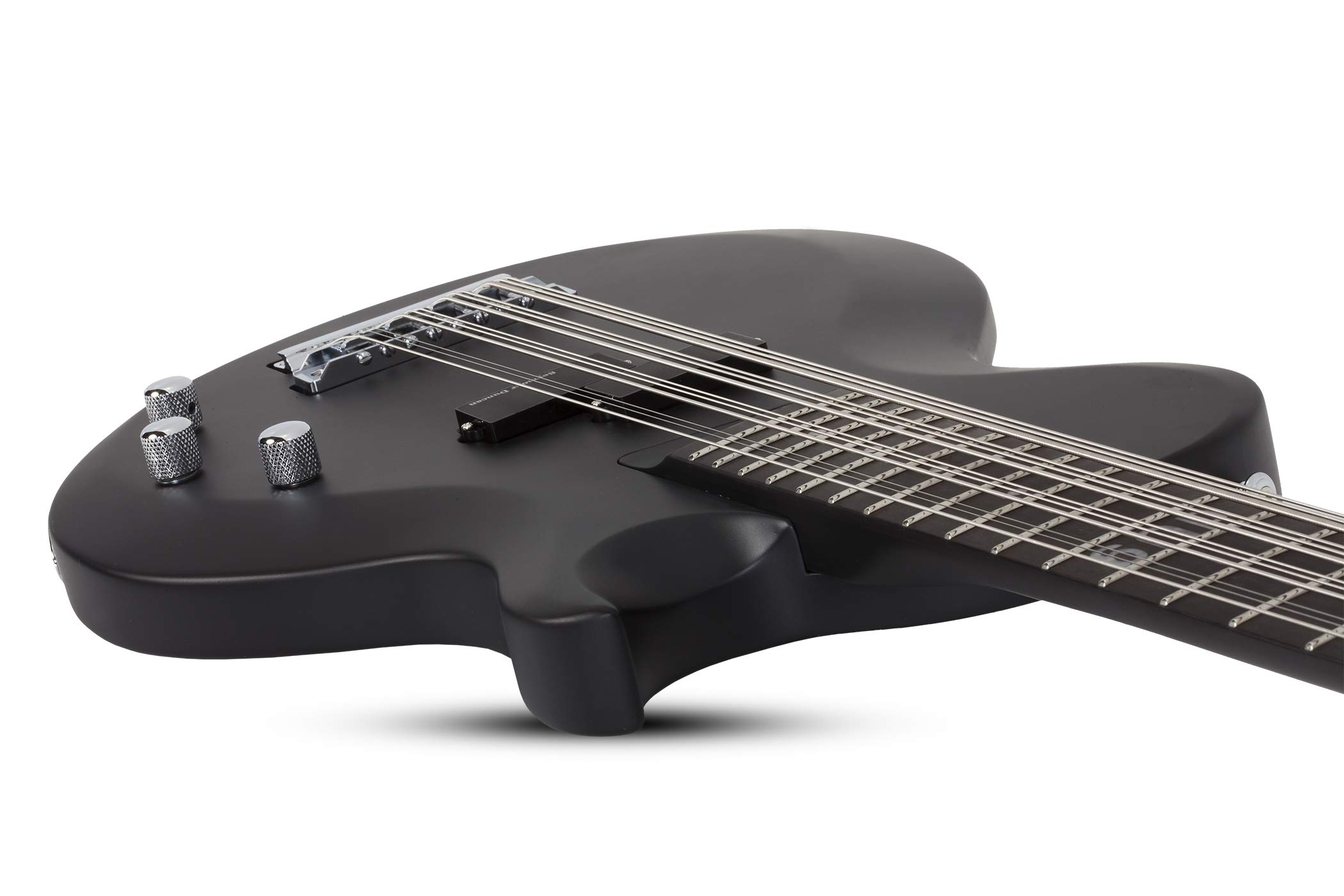 Amazon.com: Schecter dUg Pinnick DP-12 12-string Bass Guitar