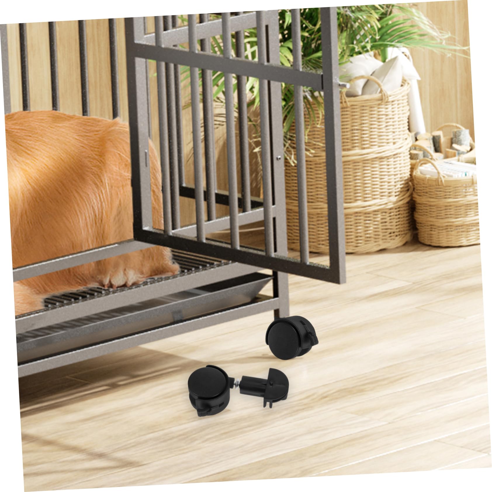 Milisten 6 Pièces roulettes de Cage de Chat roulettes pour Cage pour Animaux de Compagnie Remplacement des Roues de la à Oiseaux discutez à Chat Accessoires de Bureau Fer